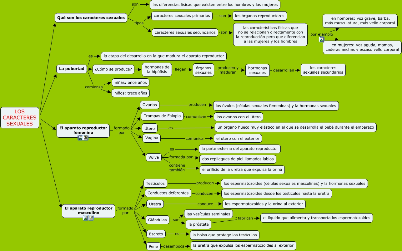 Los caracteres sexuales